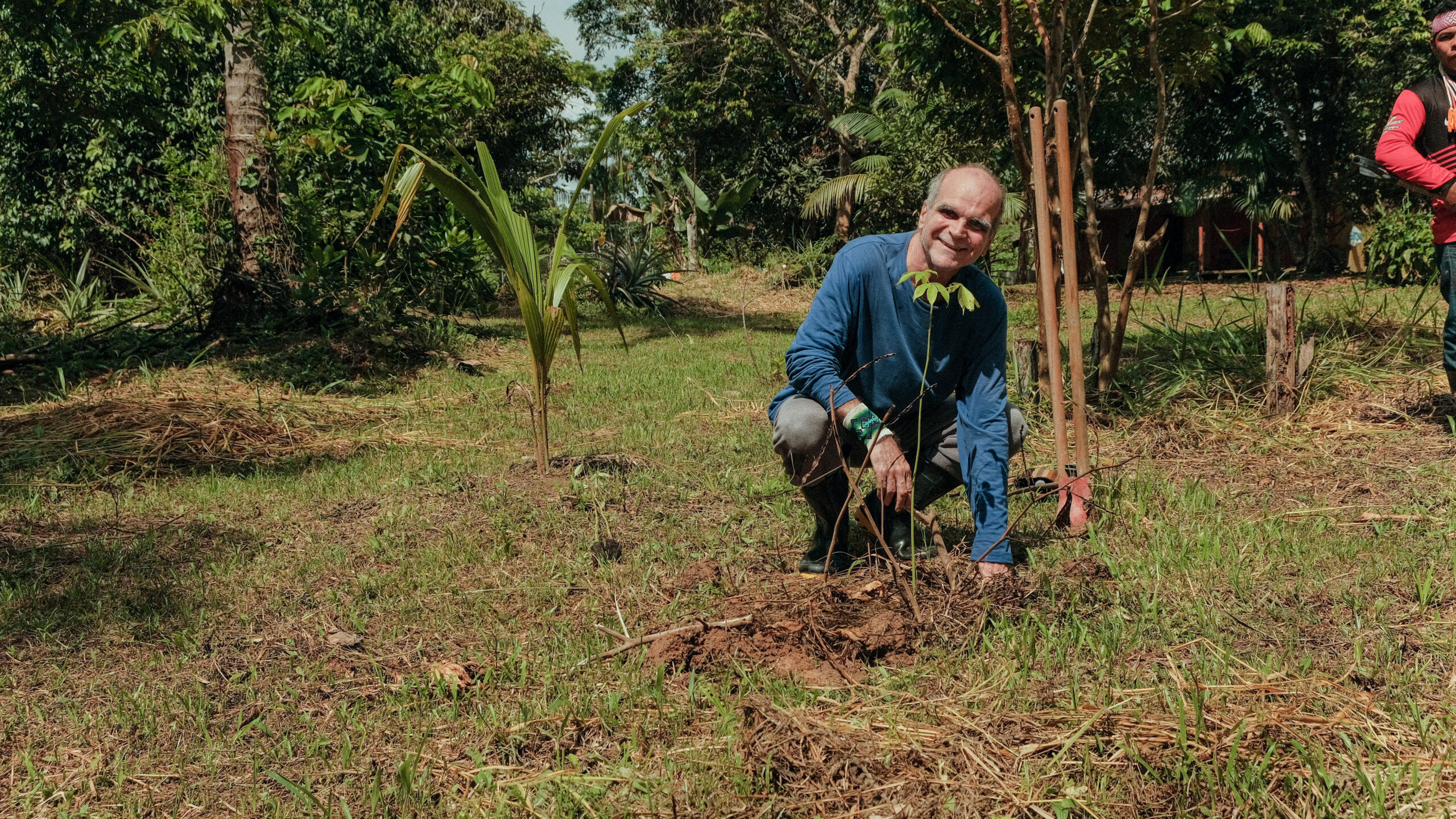 Pessoa plantando árvore durante ação de reflorestamento