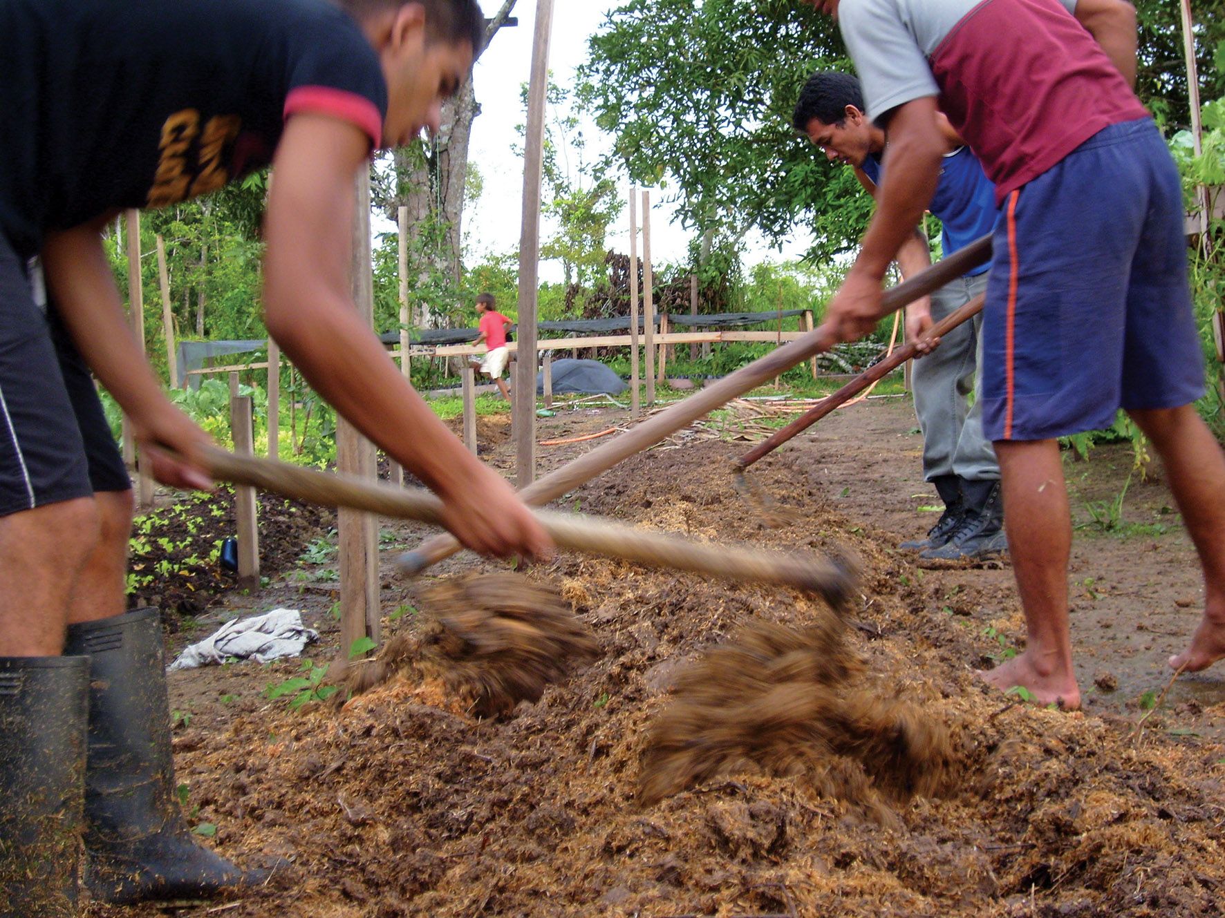 Preparação do viveiro Yawanawa