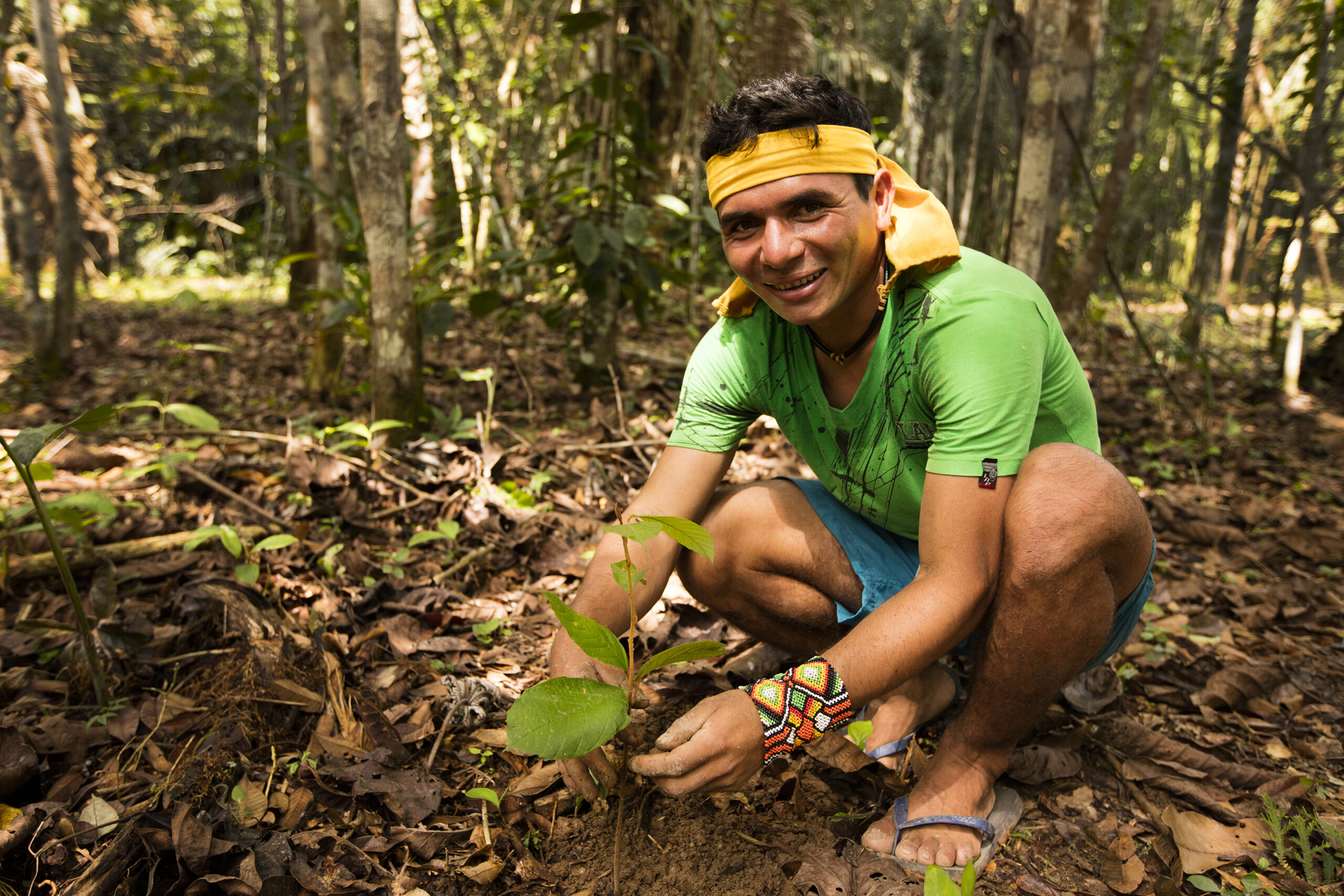 Prática agroflorestal com povos da floresta
